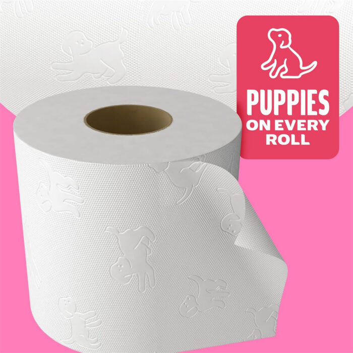 【buy 1 get 1】 family soft toilet tissue 45 rolls , fsc certified andrex 【buy 1 get 1】 family soft toilet tissue 45 rolls , fsc certified andrex