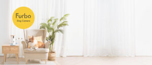 furbo 360° dog camera [basic camera]: pet monitor w/app, rotating 360° view, colour night vision, auto tracking, treat toss, barking alert. loved by millions of pet parents worldwide