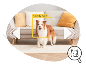 furbo 360° dog camera [basic camera]: pet monitor w/app, rotating 360° view, colour night vision, auto tracking, treat toss, barking alert. loved by millions of pet parents worldwide