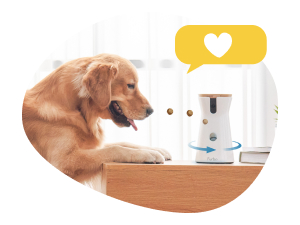 furbo 360° dog camera [basic camera]: pet monitor w/app, rotating 360° view, colour night vision, auto tracking, treat toss, barking alert. loved by millions of pet parents worldwide